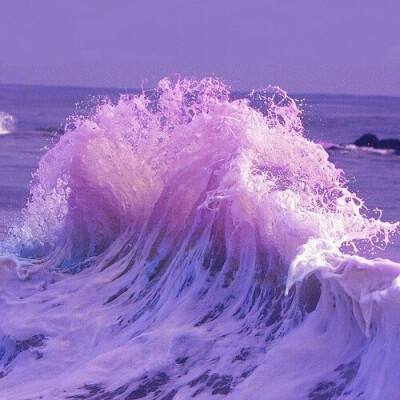 一肖三码手机app下载