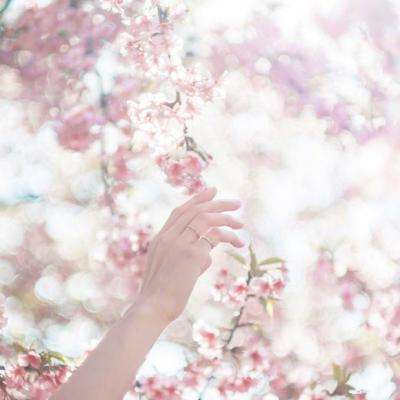 皇家88手机app下载